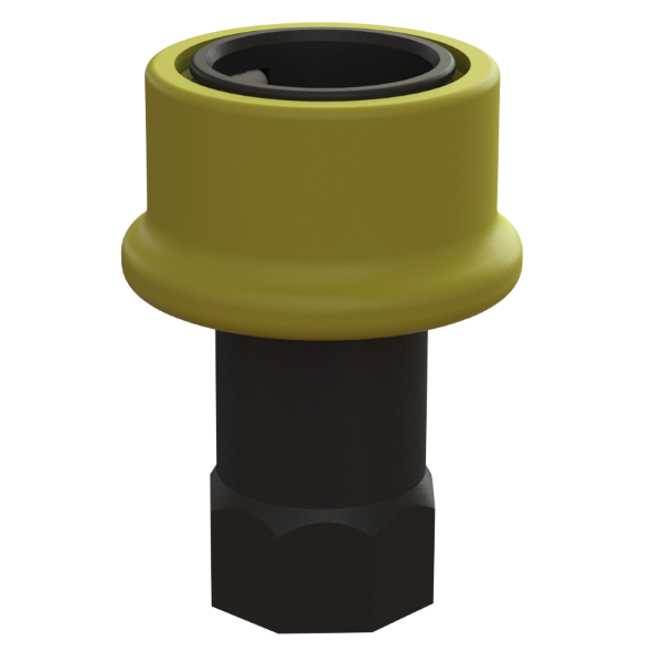 DS10BFVF/10B/V027 1" Dry-Shut female valved coupler Image